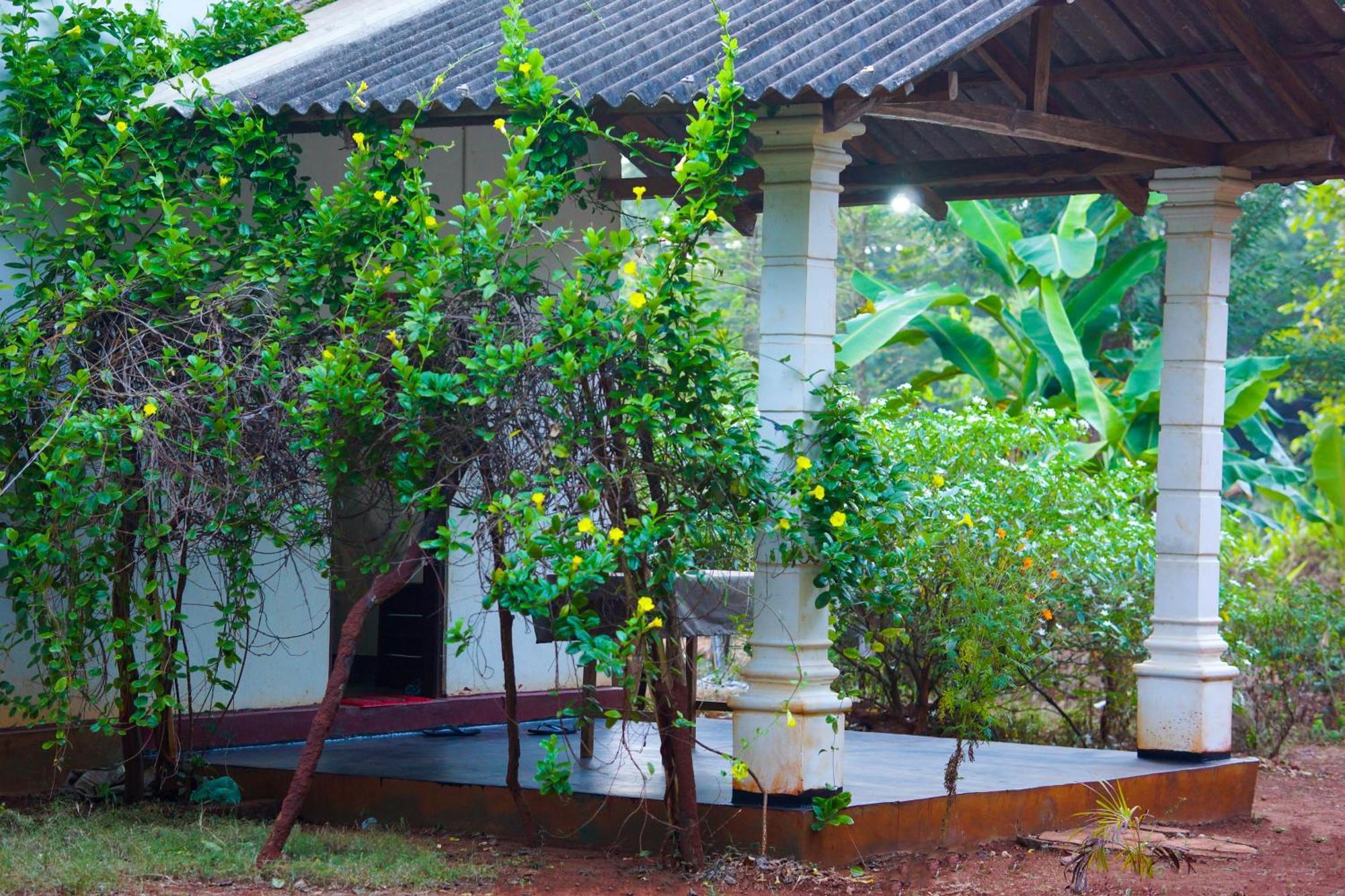 Senu Homestay สิกิริยา ภายนอก รูปภาพ