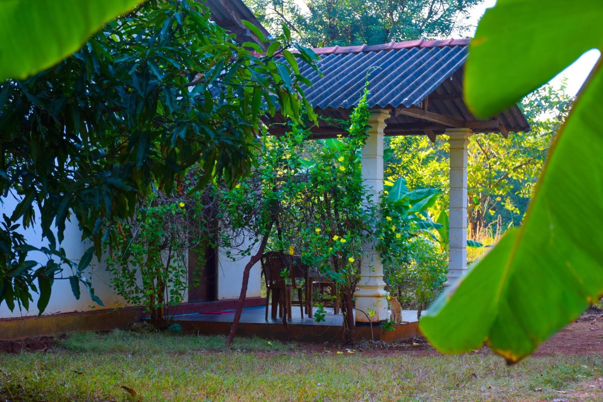 Senu Homestay สิกิริยา ภายนอก รูปภาพ
